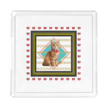 ジンジャーキャットとゴールデンチェーン懸命プラスチックのコースター