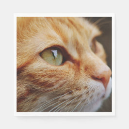 ジンジャーキャットの顔を決める スタンダードランチョンナプキン