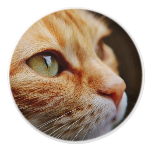 ジンジャーキャットの顔を決める セラミックノブ (正面)