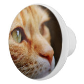 ジンジャーキャットの顔を決める セラミックノブ (右)