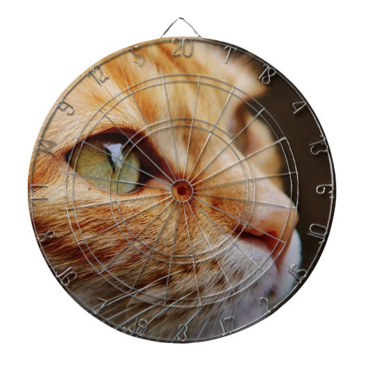 ジンジャーキャットの顔を決める ダーツボード (正面)