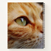 ジンジャーキャットの顔を決める ノートブック (裏面)