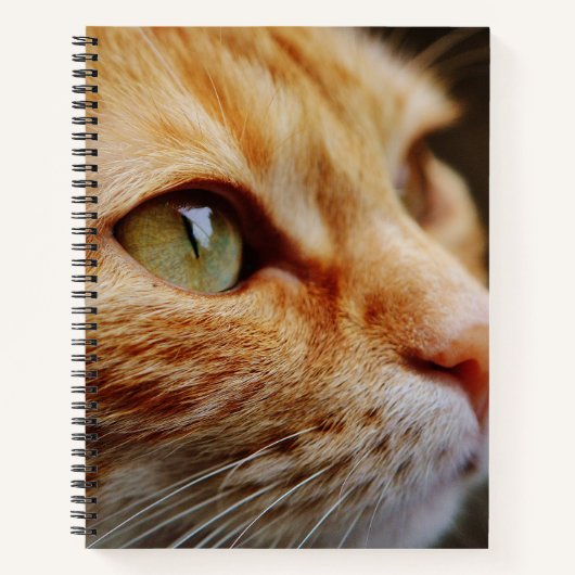 ジンジャーキャットの顔を決める ノートブック (正面)