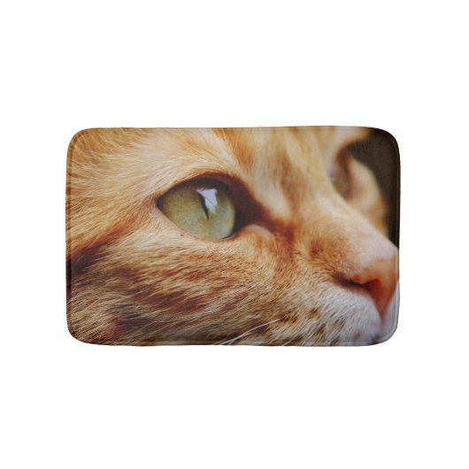ジンジャーキャットの顔を決める バスマット (正面)