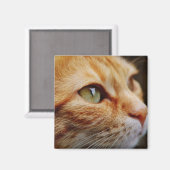 ジンジャーキャットの顔を決める マグネット (正面/裏面)