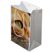 ジンジャーキャットの顔を決める ミディアムペーパーバッグ (正面アングル)