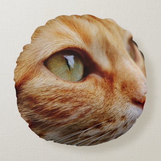 ジンジャーキャットの顔を決める ラウンドクッション (正面)