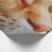 ジンジャーキャットの顔を決める ラッピングペーパー (角)