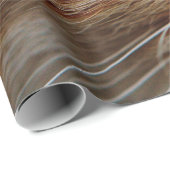 ジンジャーキャットの顔を決める ラッピングペーパー (ロールコーナー)