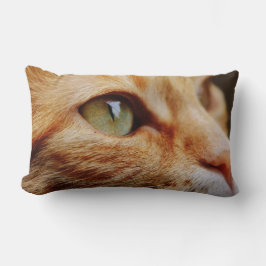 ジンジャーキャットの顔を決める ランバークッション