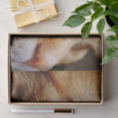 ジンジャーキャットの顔を決める 薄葉紙 (ギフト)