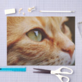 ジンジャーキャットの顔を決める 薄葉紙 (クラフト)