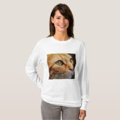 ジンジャーキャットの顔を決める Tシャツ (正面フル)