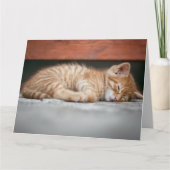 ジンジャーキャットキットスリープ誕生日グリーティングカード カード (正面)