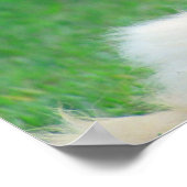 ジンジャーキャットセントオーガスティントゥート引用文 ポスター (角)