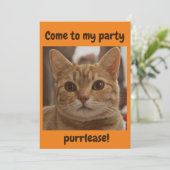 ジンジャーキャットブラウンアイズパーティー紫オレンジ 招待状 (スタンド正面)