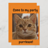 ジンジャーキャットブラウンアイズパーティー紫オレンジ 招待状 (正面/裏面)