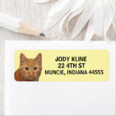 ジンジャーキャット差出人住所ラベル ラベル (インサイチュ)