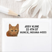 ジンジャーキャット差出人住所ラベル ラベル (インサイチュ)