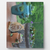 ジンジャーキャット フォトプラーク (正面)