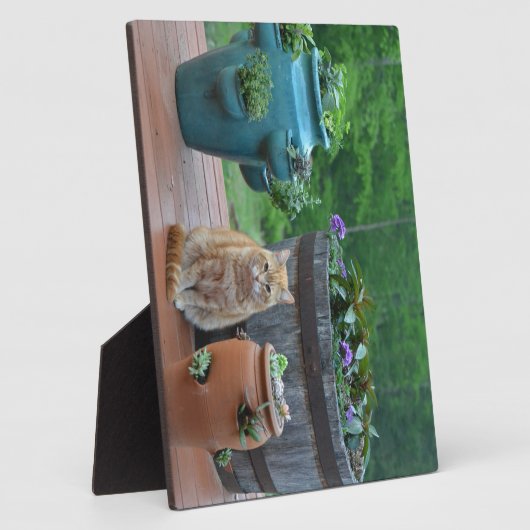 ジンジャーキャット フォトプラーク (側面)