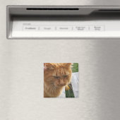 ジンジャーキャット マグネット (インサイチュ (食洗機))
