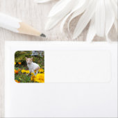 ジンジャーキャット ラベル (インサイチュ)