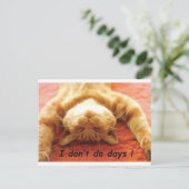 ジンジャーキャットTシャツ、私は日しない ポストカード (スタンド正面)