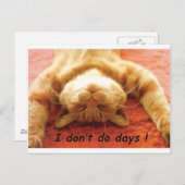 ジンジャーキャットTシャツ、私は日しない ポストカード (正面/裏面)