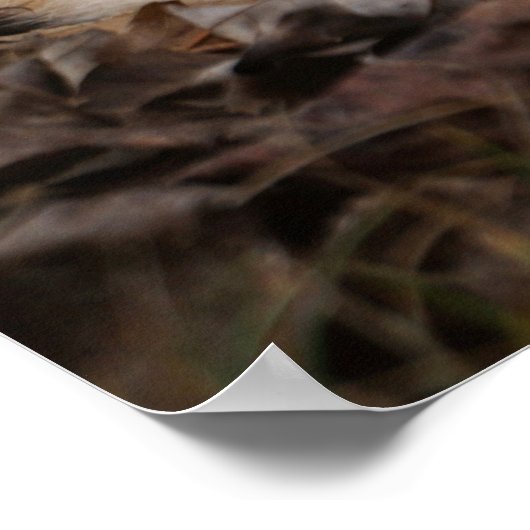 ジンジャーショートエアキャット紅葉ポートレート ポスター (角)