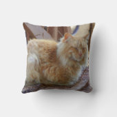 ジンジャージョージ クッション (裏面)