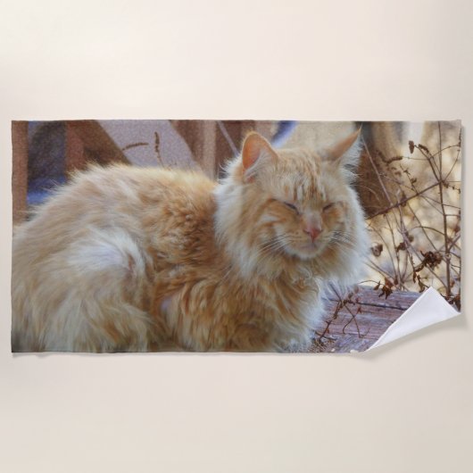 ジンジャージョージ ビーチタオル (正面)