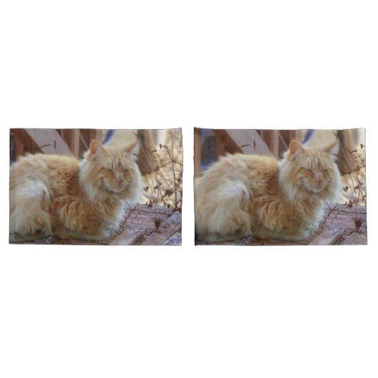 ジンジャージョージ 枕カバー (バックセット)