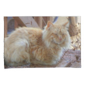 ジンジャージョージ 枕カバー (正面右)