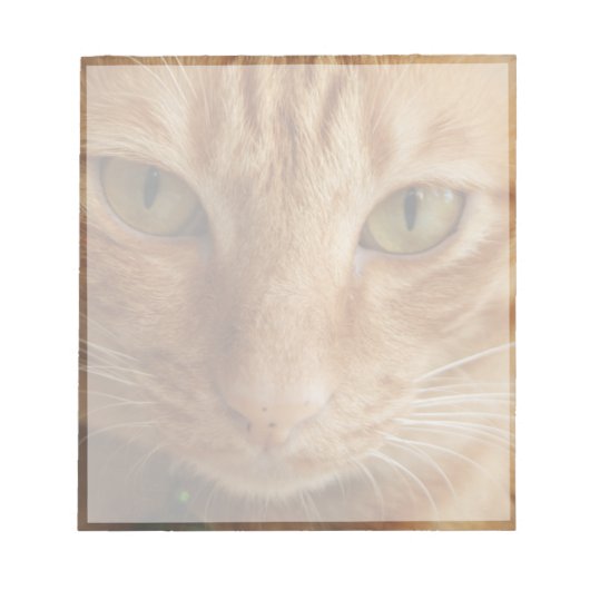 ジンジャースポット ノートパッド (正面)