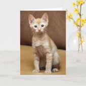 ジンジャーソファ カード (黄色い花)