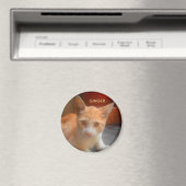 ジンジャータビーキティキャット マグネット (インサイチュ (食洗機))