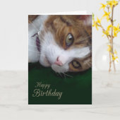 ジンジャータブビーキャットペルソナライズハッピーバースデー カード (黄色い花)