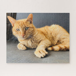 ジンジャートープリラックススヘルキャットの椅子 ジグソーパズル