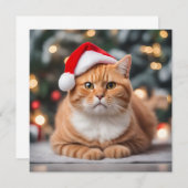 ジンジャーブリティッシュショートエアークリスマス (正面/裏面)