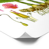 ジンジャープラントイラストレーションジューシングジュースバーデコール ポスター (角)