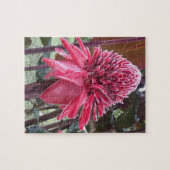 ジンジャーヘリコニア ジグソーパズル (横)