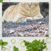 ジンジャーボーイ キッチンタオル (折り畳み)