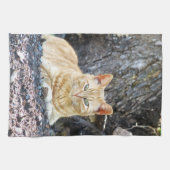 ジンジャーボーイ キッチンタオル (横)