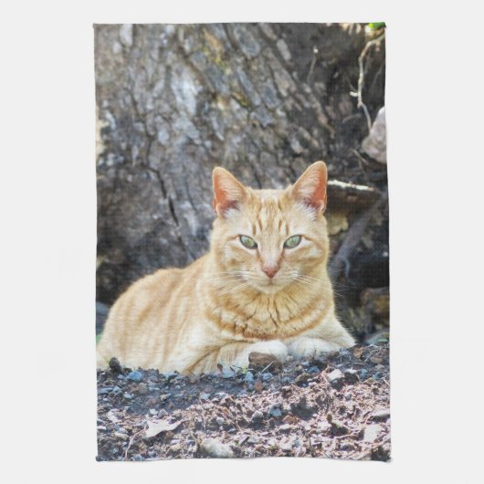 ジンジャーボーイ キッチンタオル (縦)