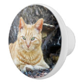 ジンジャーボーイ セラミックノブ (右)