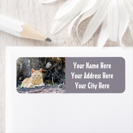 ジンジャーボーイ ラベル (インサイチュ)