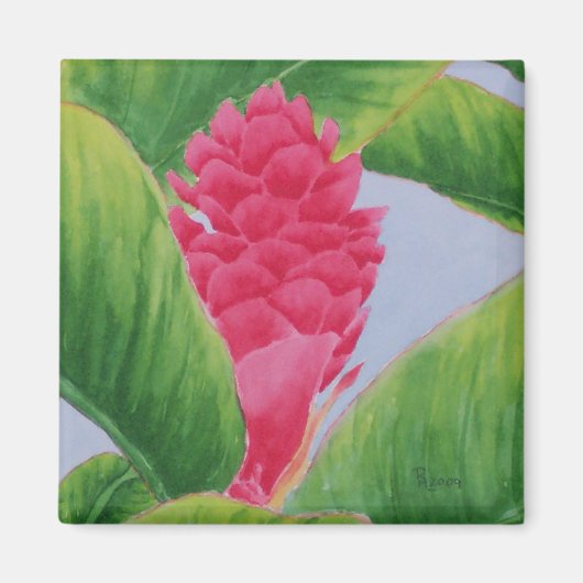 ジンジャーマグネット マグネット (正面)