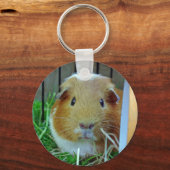 ジンジャーモルモット キーホルダー (正面)