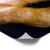 ジンジャールートポスター ポスター (角)